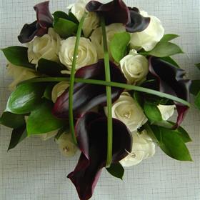 fwthumbRose and Purple Cala.jpg